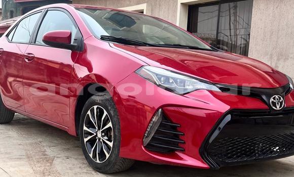 Comprar Usado Toyota Corolla Vermelho Carro em Luanda em Luanda Province