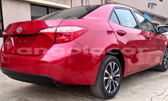 Buy Used Toyota Corolla Red Car in Luanda in Luanda Province Buy Used Toyota Corolla Red Car in Luanda in Luanda Province