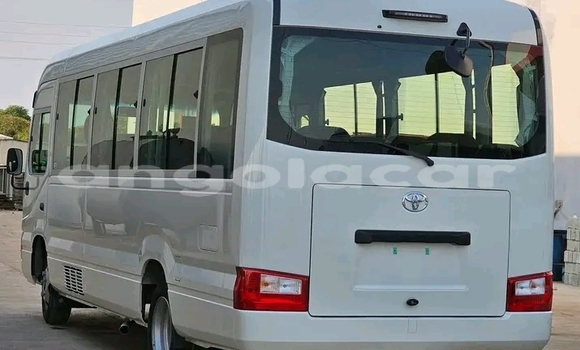 Buy Used Toyota Coaster White Car in Luanda in Luanda Province Buy Used Toyota Coaster White Car in Luanda in Luanda Province