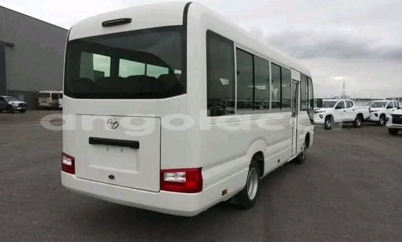 Buy Used Toyota Coaster White Car in Luanda in Luanda Province Buy Used Toyota Coaster White Car in Luanda in Luanda Province