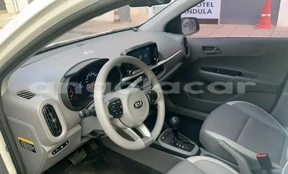 Comprar Usado Kia Picanto Branco Carro em Luanda em Luanda Province Comprar Usado Kia Picanto Branco Carro em Luanda em Luanda Province