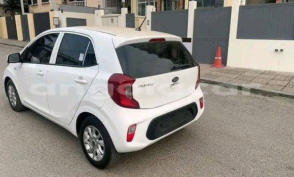 Comprar Usado Kia Picanto Branco Carro em Luanda em Luanda Province Comprar Usado Kia Picanto Branco Carro em Luanda em Luanda Province