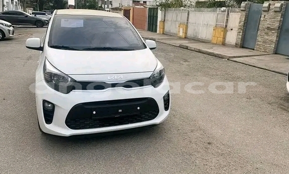 Comprar Usado Kia Picanto Branco Carro em Luanda em Luanda Province Comprar Usado Kia Picanto Branco Carro em Luanda em Luanda Province