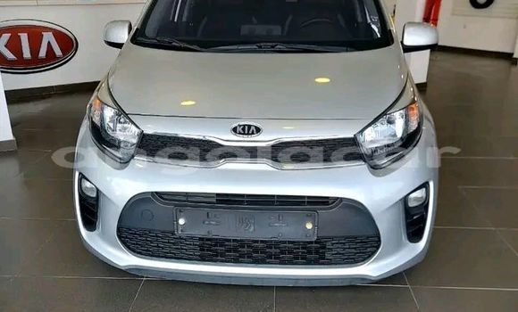 Buy Used Kia Picanto Other Car in Luanda in Luanda Province
