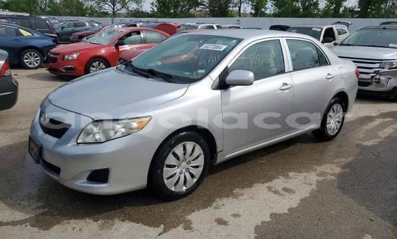 Buy Used Toyota Corolla Other Car in Luanda in Luanda Province Buy Used Toyota Corolla Other Car in Luanda in Luanda Province