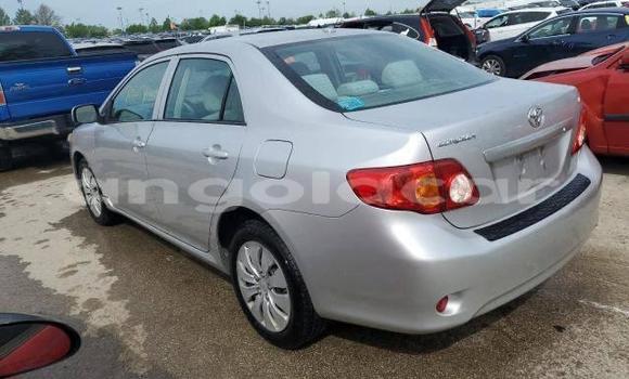 Buy Used Toyota Corolla Other Car in Luanda in Luanda Province Buy Used Toyota Corolla Other Car in Luanda in Luanda Province