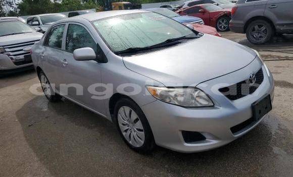 Buy Used Toyota Corolla Other Car in Luanda in Luanda Province Buy Used Toyota Corolla Other Car in Luanda in Luanda Province