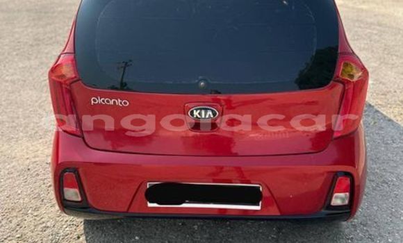 Comprar Usado Kia Picanto Vermelho Carro em Luanda em Luanda Province Comprar Usado Kia Picanto Vermelho Carro em Luanda em Luanda Province