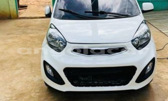 Acheter Occasion Voiture Kia Picanto Autre à Luanda, Province de Luanda Acheter Occasion Voiture Kia Picanto Autre à Luanda, Province de Luanda
