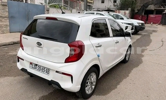 Buy Used Kia Morning Other Car in Luanda in Luanda Province Buy Used Kia Morning Other Car in Luanda in Luanda Province