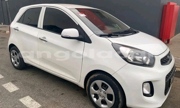 Comprar Usado Kia Picanto Branco Carro em Luanda em Luanda Province Comprar Usado Kia Picanto Branco Carro em Luanda em Luanda Province