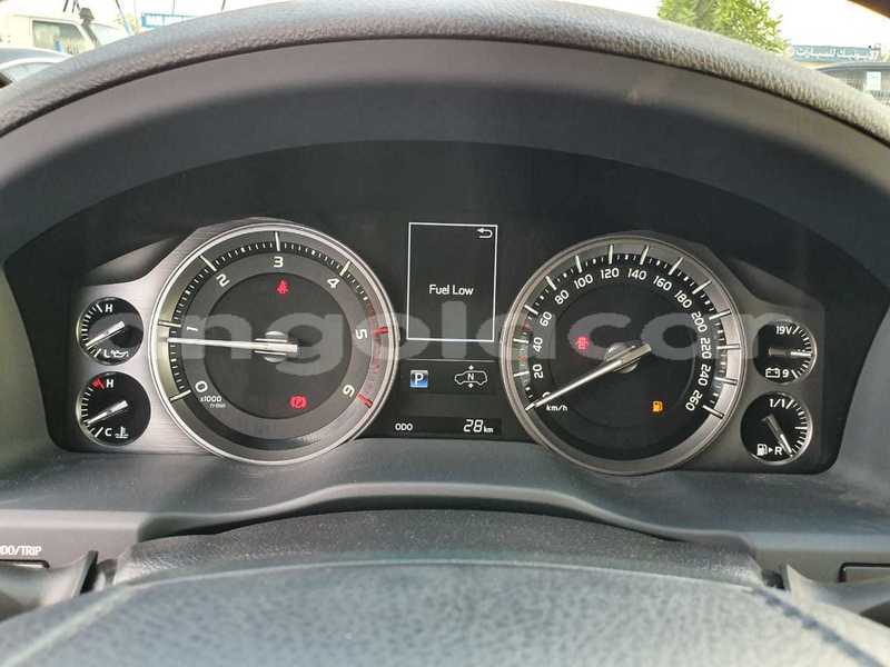 Big with watermark 7