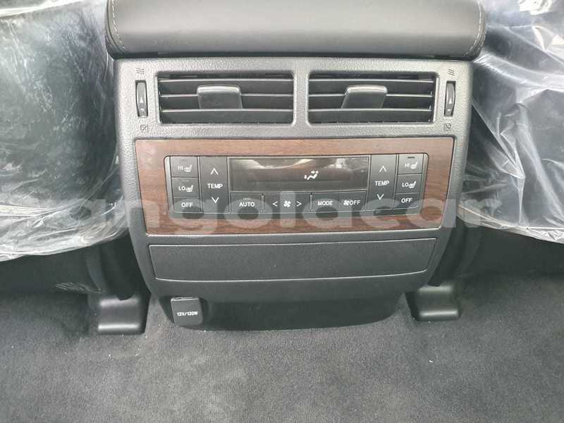 Big with watermark 12