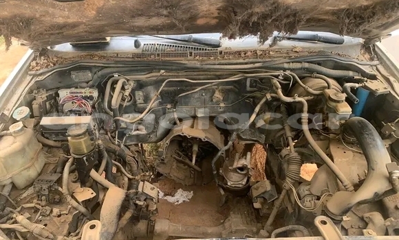 Buy Used Nissan Navara Other Car in Camabatela in Uige Buy Used Nissan Navara Other Car in Camabatela in Uige