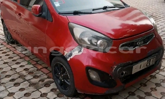Buy Used Kia Picanto Other Car in Camacupa in Bie Buy Used Kia Picanto Other Car in Camacupa in Bie