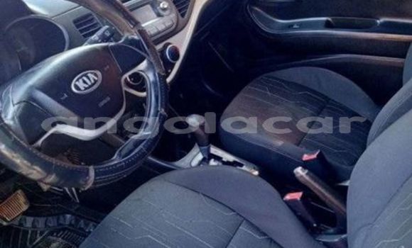 Comprar Usado Kia Picanto Outro Carro em Luanda em Luanda Province Comprar Usado Kia Picanto Outro Carro em Luanda em Luanda Province