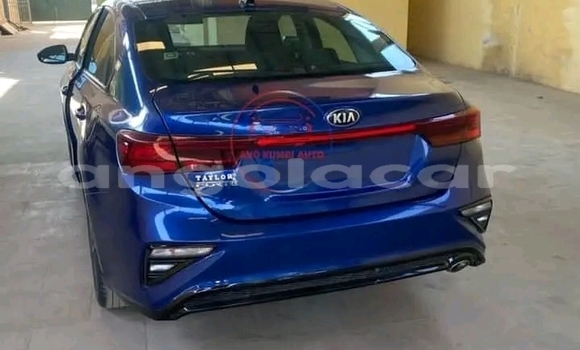 Buy Used Kia Forte Other Car in Catabola in Bie