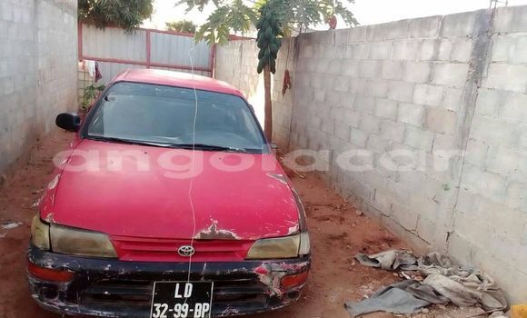 Acheter Occasion Voiture Toyota Ractis Rouge à Caluquembe, Huila Acheter Occasion Voiture Toyota Ractis Rouge à Caluquembe, Huila