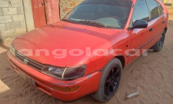 Comprar Usado Toyota Corolla Vermelho Carro em Camabatela em Uige Comprar Usado Toyota Corolla Vermelho Carro em Camabatela em Uige