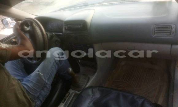 Comprar Usado Toyota Opa Azul Carro em Caluquembe em Huila Comprar Usado Toyota Opa Azul Carro em Caluquembe em Huila