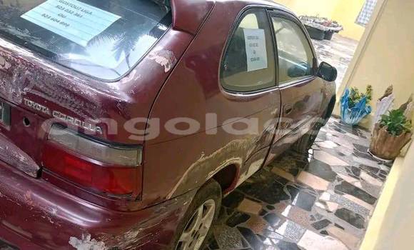 Comprar Usado Volkswagen Golf Outro Carro em Caconda em Huila Comprar Usado Volkswagen Golf Outro Carro em Caconda em Huila