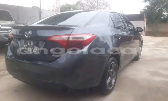 Comprar Usado Toyota Corolla Preto Carro em Lucapa em Lunda Norte Province Comprar Usado Toyota Corolla Preto Carro em Lucapa em Lunda Norte Province