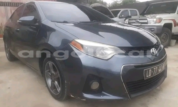 Comprar Usado Toyota Corolla Preto Carro em Lucapa em Lunda Norte Province Comprar Usado Toyota Corolla Preto Carro em Lucapa em Lunda Norte Province