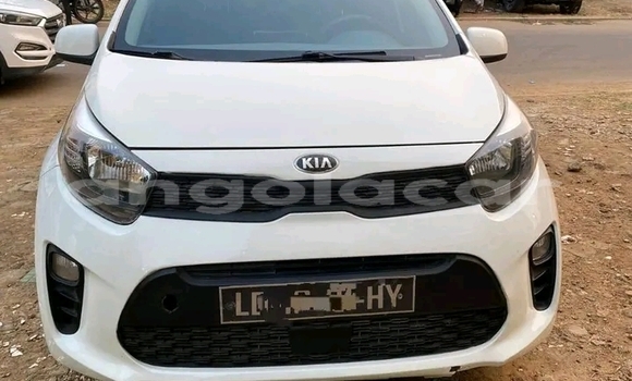 Comprar Usado Kia Morning Branco Carro em Camacupa em Bie Comprar Usado Kia Morning Branco Carro em Camacupa em Bie