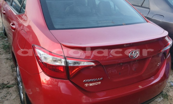 Comprar Usado Toyota Corolla Vermelho Carro em Luanda em Luanda Province Comprar Usado Toyota Corolla Vermelho Carro em Luanda em Luanda Province