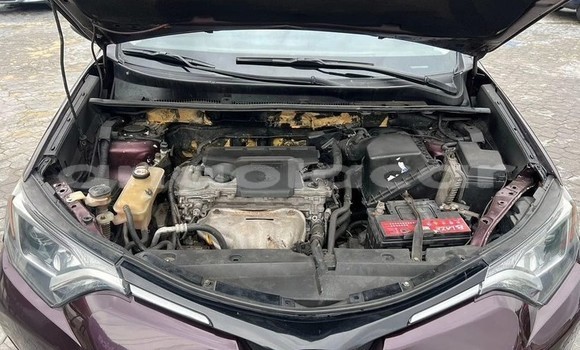 Buy Used Toyota RAV4 Other Car in Luanda in Luanda Province Buy Used Toyota RAV4 Other Car in Luanda in Luanda Province