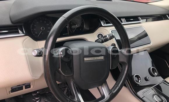 Comprar Usado Range Rover Evoque Branco Carro em Luanda em Luanda Province Comprar Usado Range Rover Evoque Branco Carro em Luanda em Luanda Province