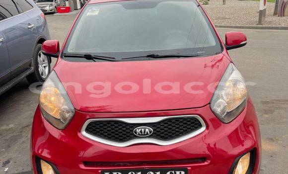 Buy Used Kia Picanto Red Car in Caconda in Huila Buy Used Kia Picanto Red Car in Caconda in Huila
