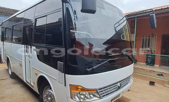 Buy Used Toyota Coaster White Car in Camacupa in Bie