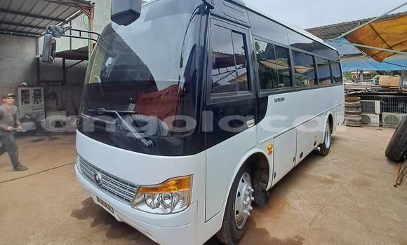 Buy Used Toyota Coaster White Car in Camacupa in Bie Buy Used Toyota Coaster White Car in Camacupa in Bie