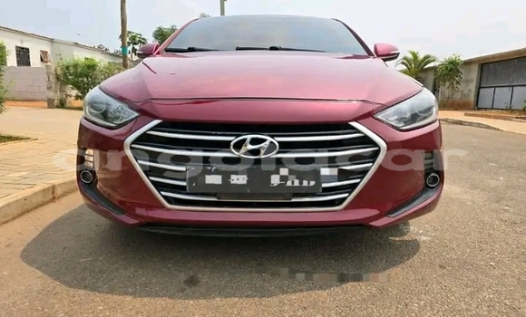 Comprar Usado Hyundai Elantra Vermelho Carro em Camacupa em Bie Comprar Usado Hyundai Elantra Vermelho Carro em Camacupa em Bie
