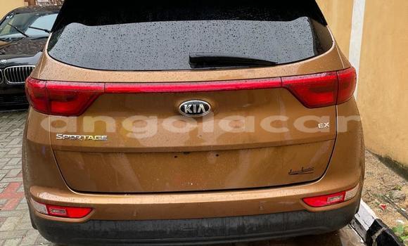 Buy Used Kia Sportage Other Car in Luanda in Luanda Province Buy Used Kia Sportage Other Car in Luanda in Luanda Province