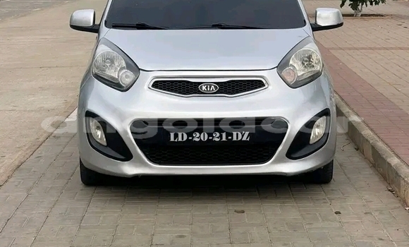 Buy Used Kia Picanto Other Car in Camacupa in Bie Buy Used Kia Picanto Other Car in Camacupa in Bie