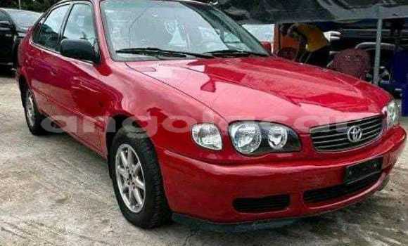Buy Used Toyota Corolla Red Car in Luanda in Luanda Province Buy Used Toyota Corolla Red Car in Luanda in Luanda Province