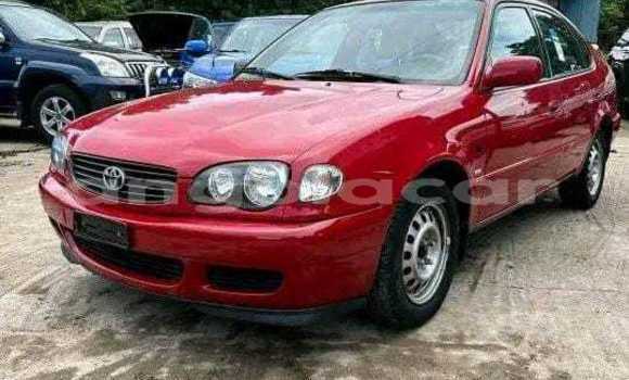 Buy Used Toyota Corolla Red Car in Luanda in Luanda Province Buy Used Toyota Corolla Red Car in Luanda in Luanda Province