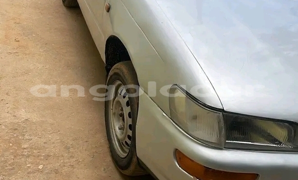 Comprar Usado Toyota Corolla Outro Carro em Camacupa em Bie Comprar Usado Toyota Corolla Outro Carro em Camacupa em Bie