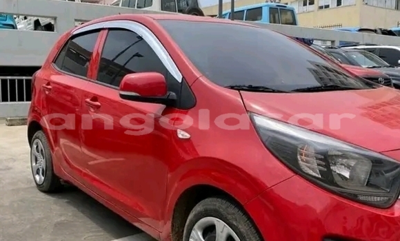 Buy Used Kia Morning Other Car in Luanda in Luanda Province Buy Used Kia Morning Other Car in Luanda in Luanda Province