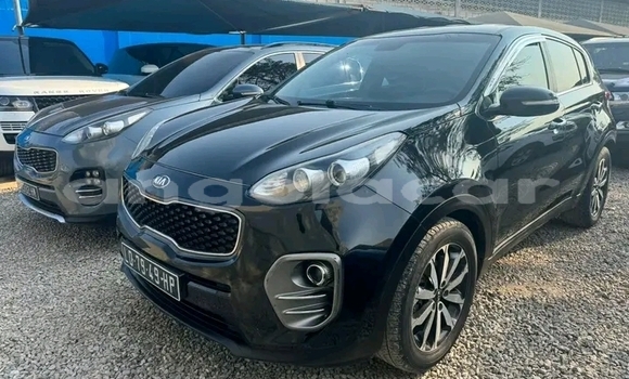 Buy Used Kia Sportage Other Car in Luanda in Luanda Province Buy Used Kia Sportage Other Car in Luanda in Luanda Province