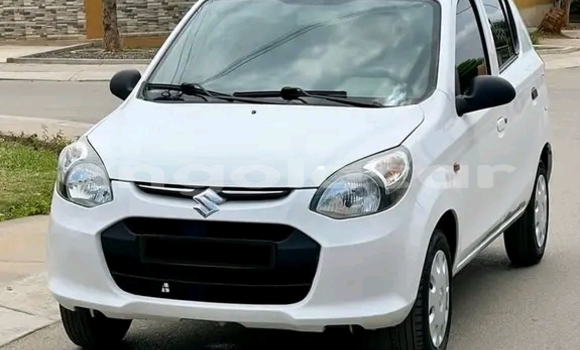 Buy Used Suzuki Alto White Car in Luanda in Luanda Province Buy Used Suzuki Alto White Car in Luanda in Luanda Province