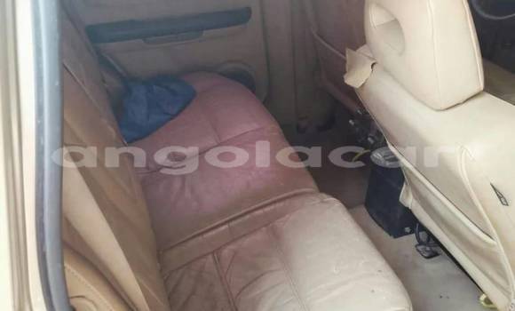 Comprar Usado Nissan X–Trail Outro Carro em Camabatela em Uige Comprar Usado Nissan X–Trail Outro Carro em Camabatela em Uige