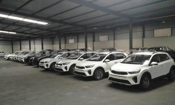 Acheter Occasion Voiture Kia Stonic Blanc à Camabatela, Uige