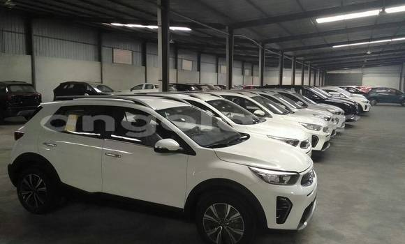Comprar Usado Kia Stonic Branco Carro em Camabatela em Uige Comprar Usado Kia Stonic Branco Carro em Camabatela em Uige