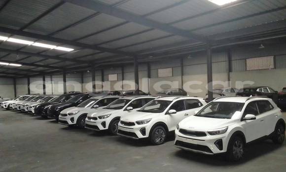 Comprar Usado Kia Stonic Branco Carro em Camabatela em Uige Comprar Usado Kia Stonic Branco Carro em Camabatela em Uige