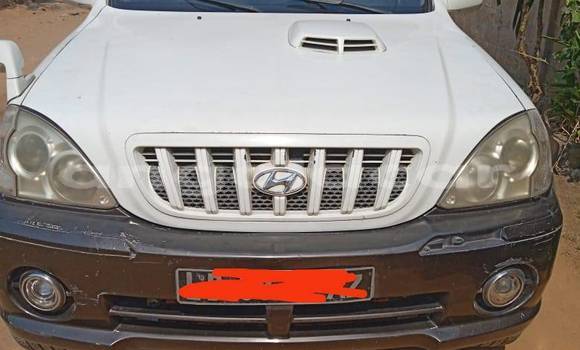Acheter Occasion Voiture Hyundai Terracan Blanc à Camacupa, Bie