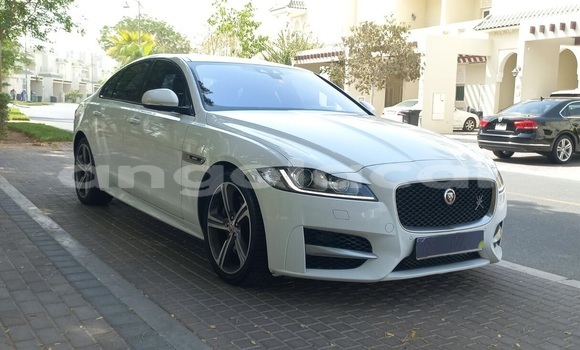 Comprar Usado Jaguar XF Branco Carro em Luanda em Luanda Province Comprar Usado Jaguar XF Branco Carro em Luanda em Luanda Province