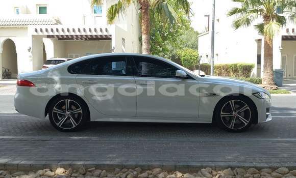 Comprar Usado Jaguar XF Branco Carro em Luanda em Luanda Province Comprar Usado Jaguar XF Branco Carro em Luanda em Luanda Province
